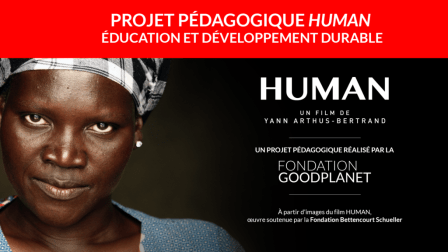 010-PROJET-PEDAGOGIQUE-PROJET-PEDAGOGIQUE-NEWSLETTER-V3-1024x576